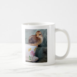 Schattig kuiken op een kopje koffiemok