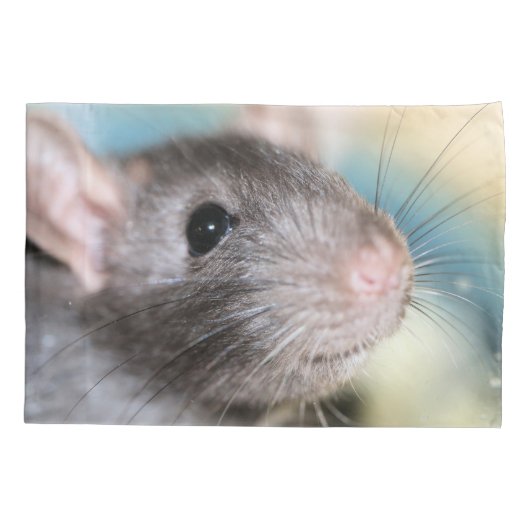 Schattig Kussensloop (Achterkant)