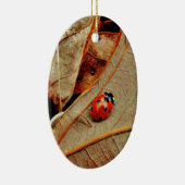 schattig Ladybug-aangepast naamcadeautje personali Keramisch Ornament (Rechts)
