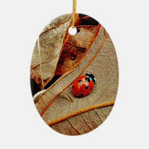 schattig Ladybug-aangepast naamcadeautje personali Keramisch Ornament