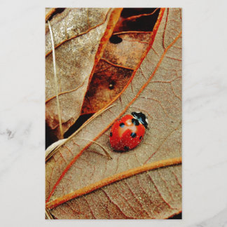 schattig Ladybug-kostuum personaliseert naam