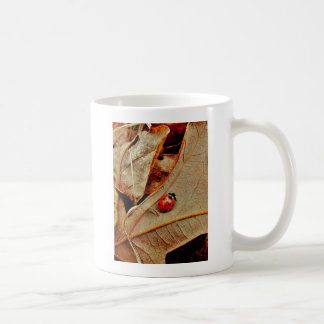 schattig Ladybug-kostuum personaliseert naam Koffiemok