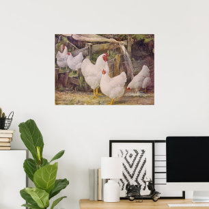 Schattig landelijk vintage kippen poster