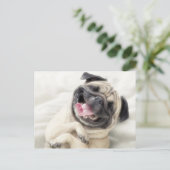Schattig Laughing Pug-ontwerp Briefkaart (Staand voorkant)