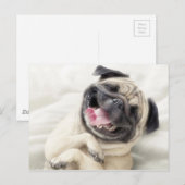 Schattig Laughing Pug-ontwerp Briefkaart (Voorkant / Achterkant)