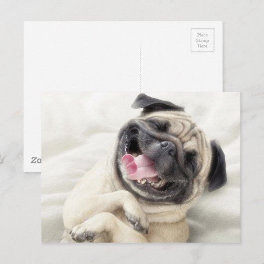 Schattig Laughing Pug-ontwerp Briefkaart (Voorkant / Achterkant)
