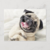 Schattig Laughing Pug-ontwerp Briefkaart (Voorkant)