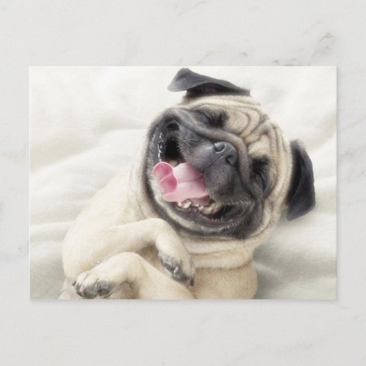 Schattig Laughing Pug-ontwerp Briefkaart (Voorkant)