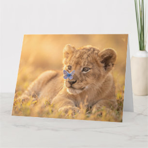 Schattig Leeuwenwelpje met Blauwe Vlinder op Neus Kaart