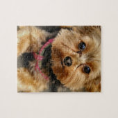 Schattig Legpuzzel (Horizontaal)