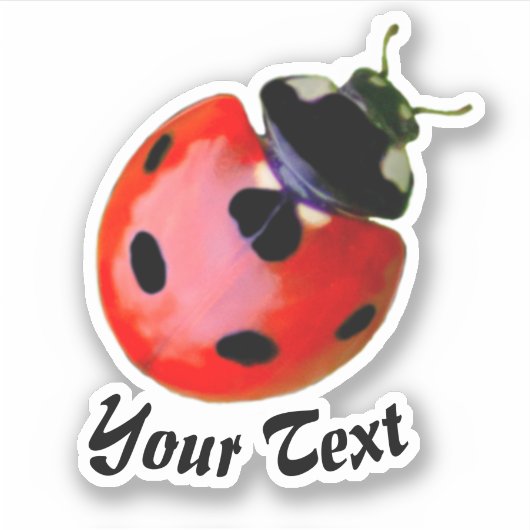Schattig lieve lieveheersbeestje brengt geluk en v sticker (Voorkant)