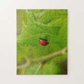 Schattig lieveheersbeestje in groen blad Natuur pu Legpuzzel (Verticaal)