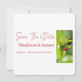 Schattig lieveheersbeestje Script Save the date ui