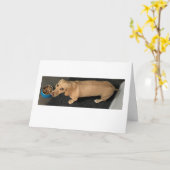 Schattig Lunch Afspreken Dachshund Kaart (Gele Bloem)