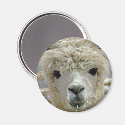 Schattig Magneet (Voorkant / Achterkant)