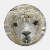 Schattig Magneet (Voorkant)