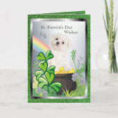 Schattig Maltees Puppy - St. Patrick het Bericht Kaart (Voorkant)
