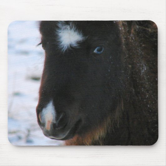 Schattig mini Horse Filly Muismat (Voorkant)