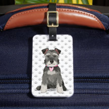 Schattig Mini Schnauzer Meisje