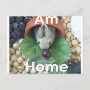 Schattig Miniatuur Konijn Snackend Briefkaart
