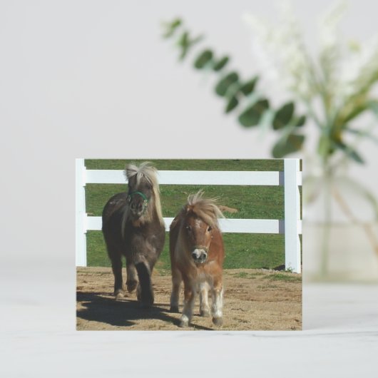Schattig MiniatuurPaard Briefkaart (Staand voorkant)