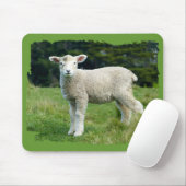 Schattig modderig lam baby schaap in weide muismat (Met muis)