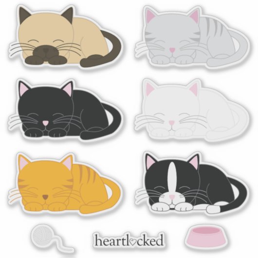 Schattig Napping Kittens Collectie Sticker (Voorkant)