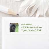 Schattig Newfoundland Etiket (Insitu)