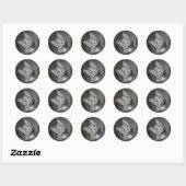 Schattig Nieuwsgierig Grijze Tabbykat Kitten Ronde Sticker (Vel)