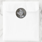 Schattig Nieuwsgierig Grijze Tabbykat Kitten Ronde Sticker (Tas)