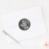 Schattig Nieuwsgierig Grijze Tabbykat Kitten Ronde Sticker (Envelop)