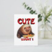 schattig of wat briefkaart (Staand voorkant)