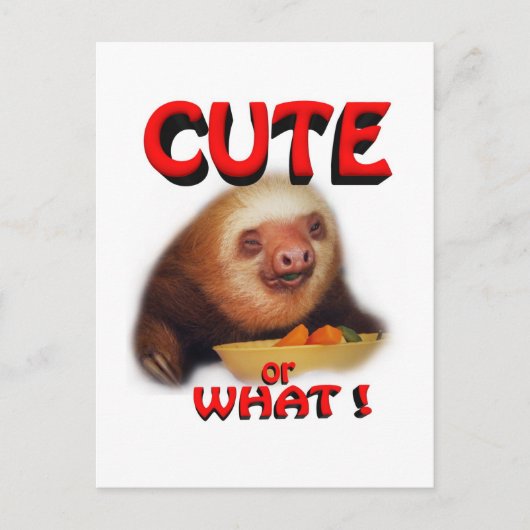 schattig of wat briefkaart (Voorkant)