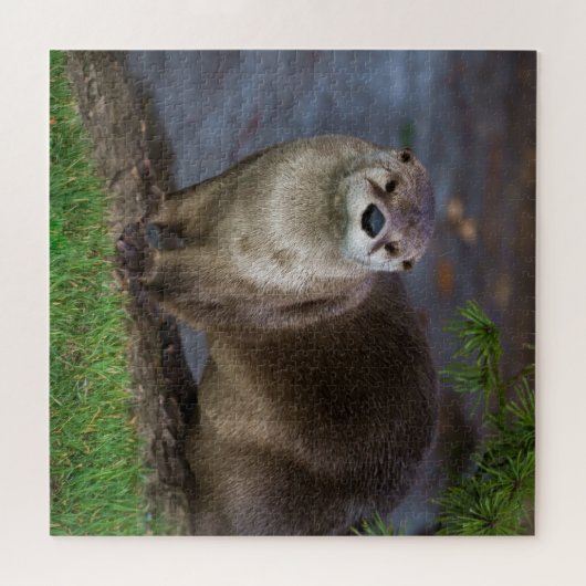 Schattig Otter op de Riverbank Legpuzzel (Horizontaal)