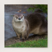 Schattig Otter op de Riverbank Legpuzzel (Verticaal)