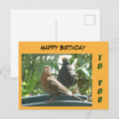 Schattig paar merels Gelukkige verjaardag klant. b Briefkaart (Voorkant / Achterkant)