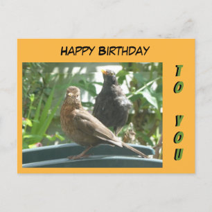 Schattig Paar Merels Happy Birthday Klant. Postkaa Briefkaart
