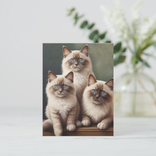 Schattig paar Ragdoll Kittens Sweet Cat Briefkaart (Staand voorkant)