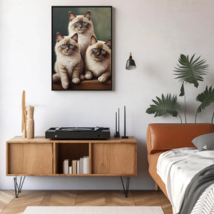 Schattig paar Ragdoll Kittens Sweet Cat Poster