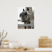 Schattig Paard Close-up Poster (Keuken)