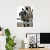 Schattig Paard Close-up Poster (Thuiskantoor)