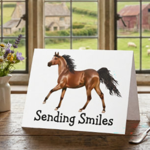 Schattig Paard Ruiters Westers Mis Je Hallo Kaart