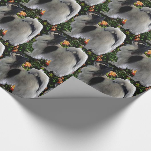 Schattig Papillon Cadeaupapier (Hoek)