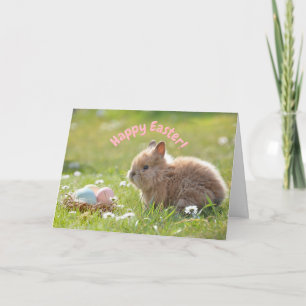 Schattig Pasen Konijn met Geschilderde Eieren Kaart