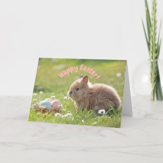 Schattig Pasen Konijn met Geschilderde Eieren Kaart