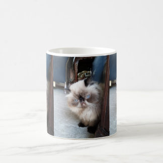 Schattig Perzisch Kat van de Himalaya Koffiemok
