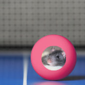 Schattig Pingpongbal (Net)