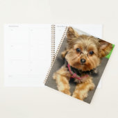 Schattig Planner (Display)