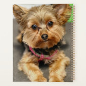 Schattig Planner (Achterkant)