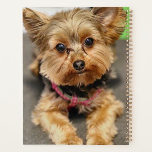 Schattig Planner (Achterkant)